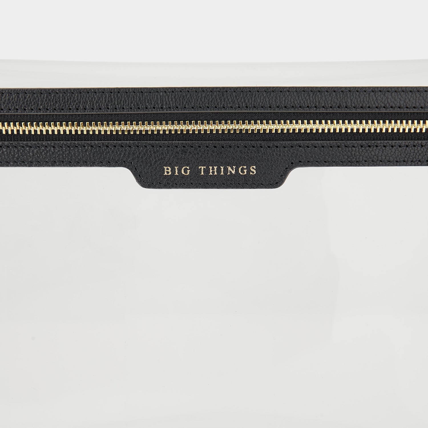 Big Things Loose Pocket | Anya Hindmarch US
