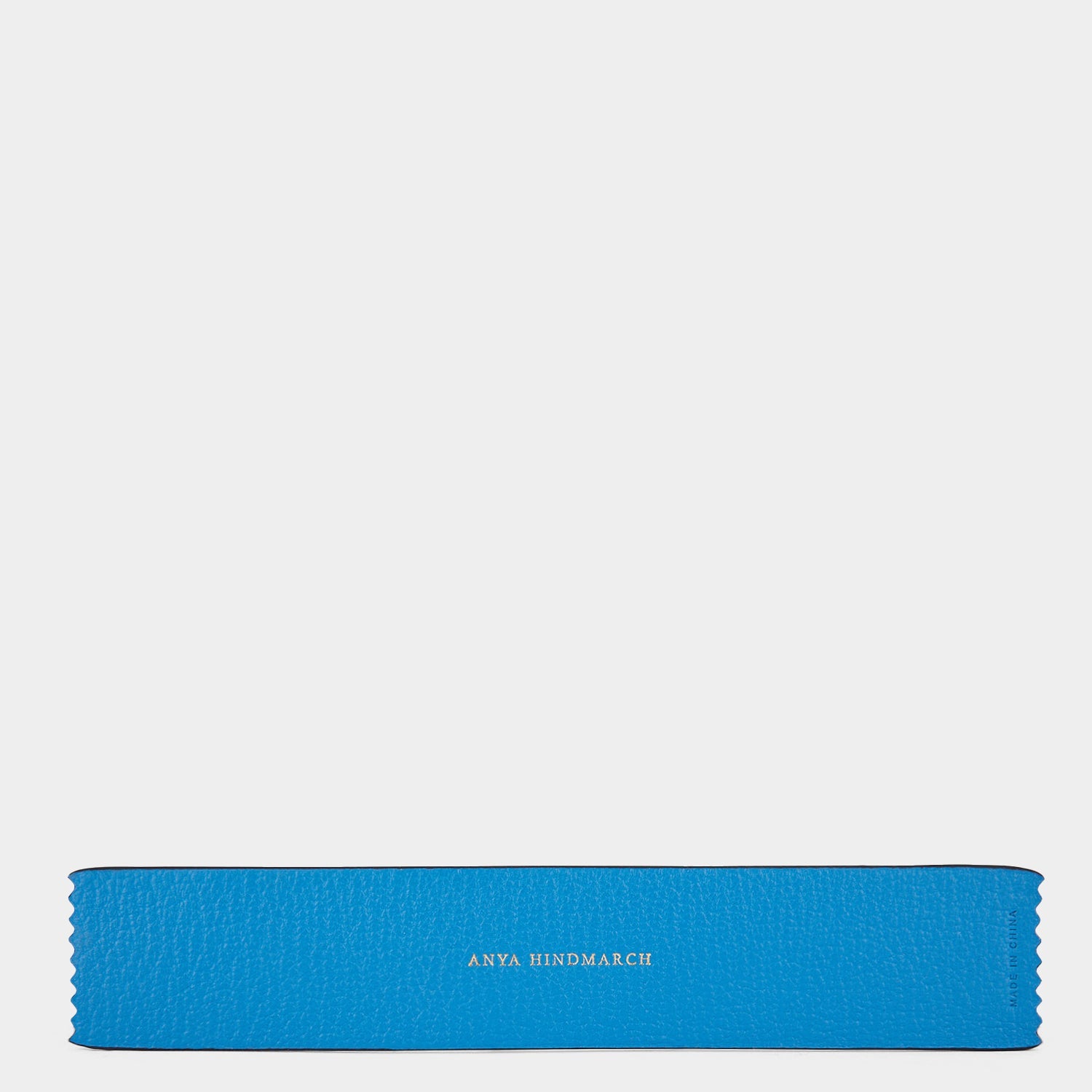 Anya Brands Refreshers Ruler | Anya Hindmarch US