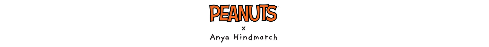 Anya Hindmarch US