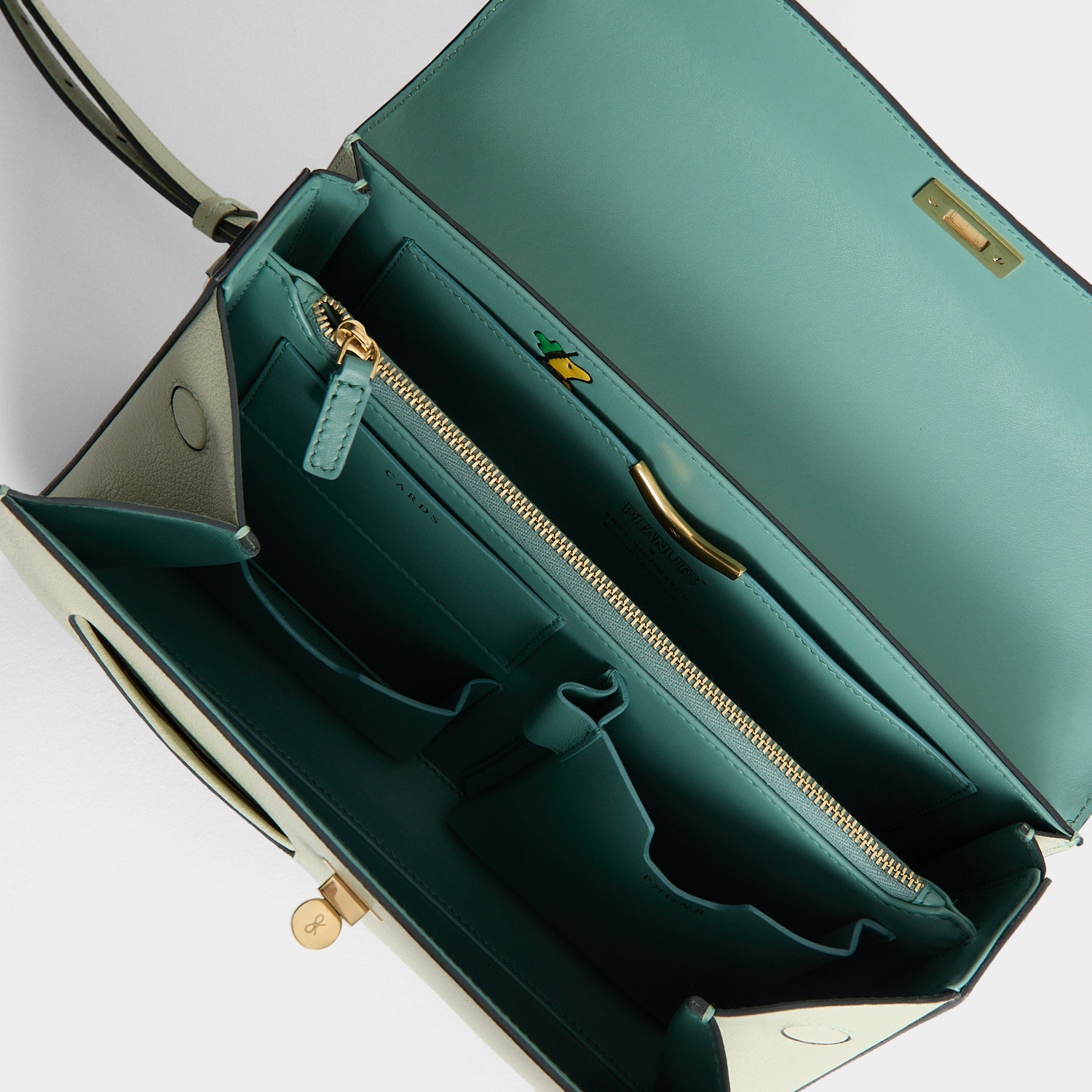 Peanuts Snoopy Mortimer Top Handle -

          
            Capra Leather in Eau De Nil Green -
          

          Anya Hindmarch US
