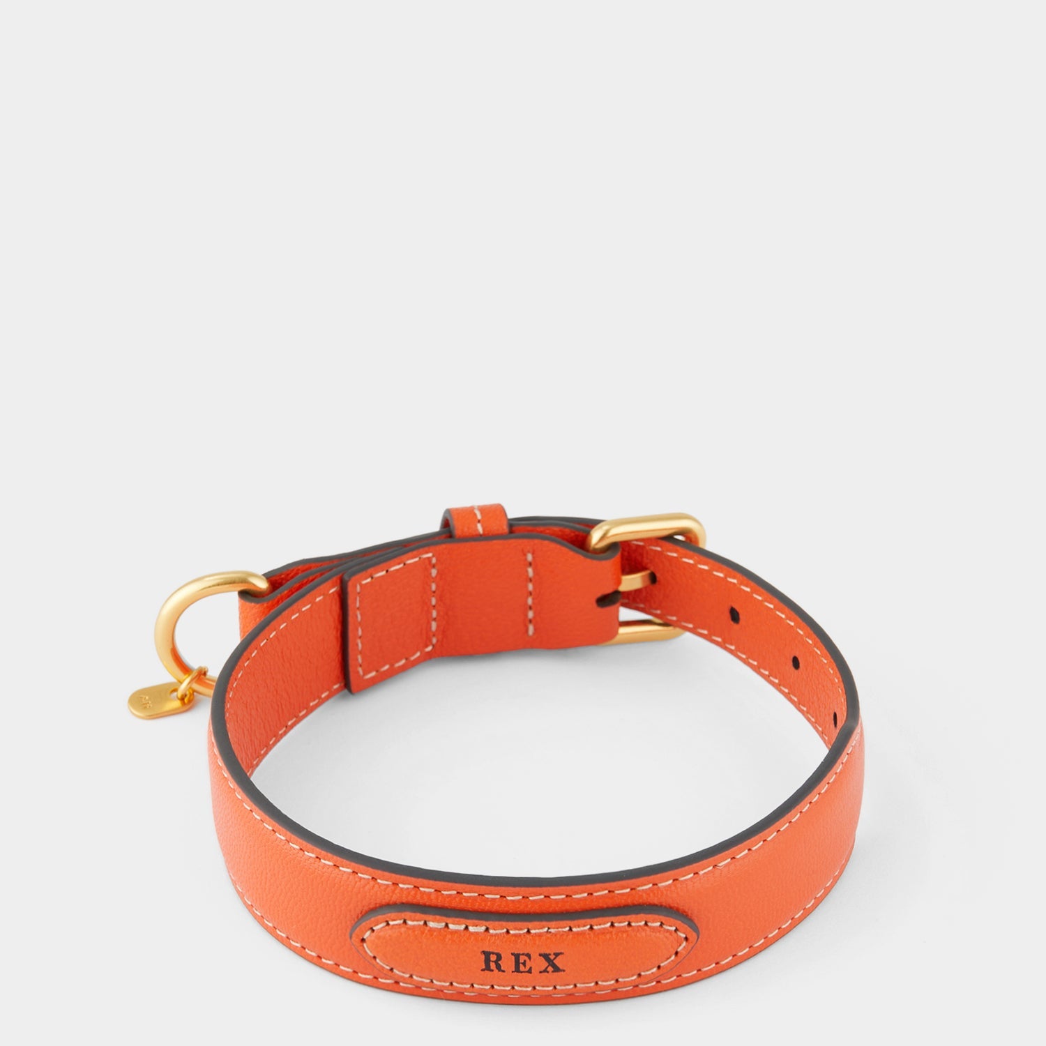 Small Dog Collar -

          
            Capra Leather in Clementine -
          

          Anya Hindmarch US
