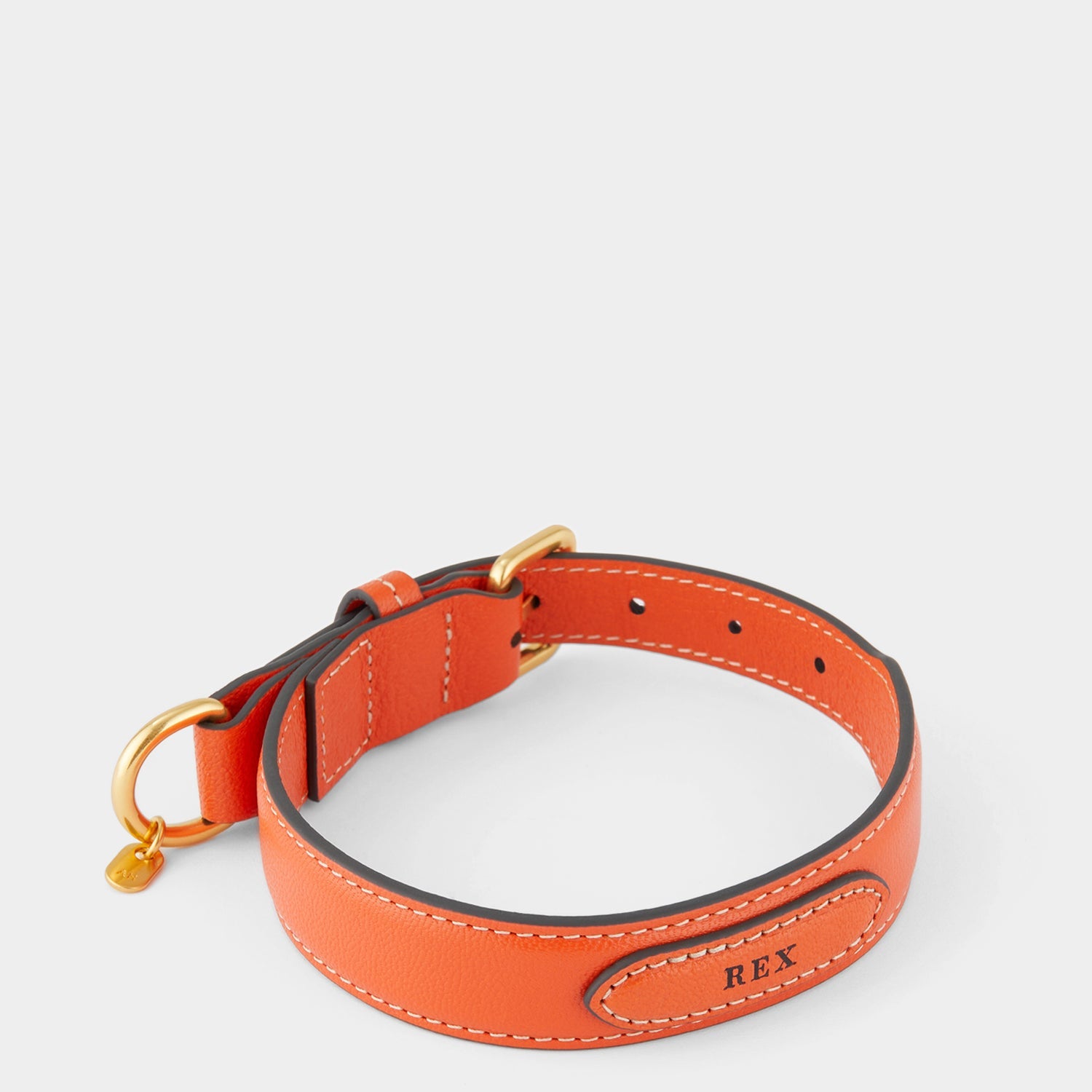 Small Dog Collar -

          
            Capra Leather in Clementine -
          

          Anya Hindmarch US
