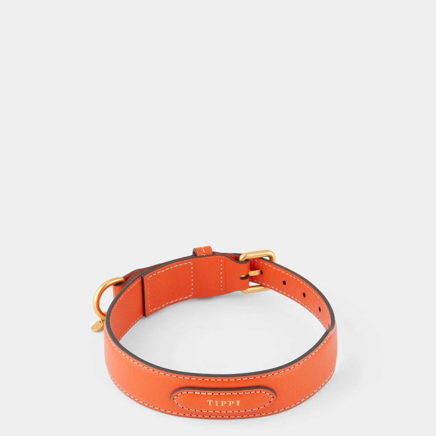 Large Dog Collar -

          
            Capra Leather in Clementine -
          

          Anya Hindmarch US
