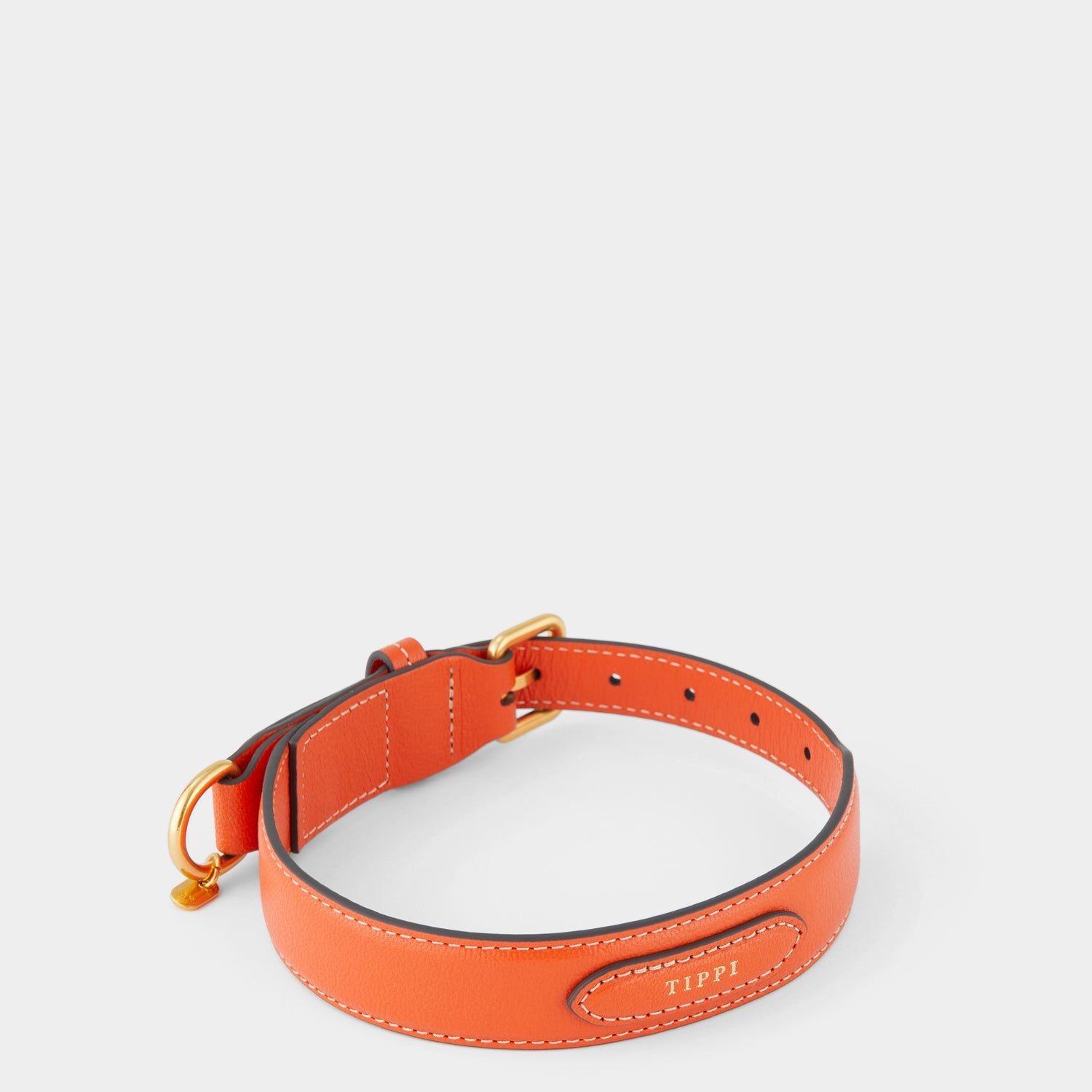 Large Dog Collar -

          
            Capra Leather in Clementine -
          

          Anya Hindmarch US
