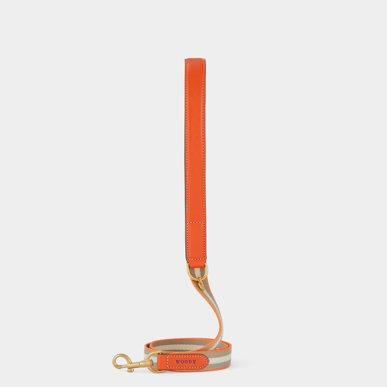 Dog Lead -

          
            Capra Leather in Clementine -
          

          Anya Hindmarch US
