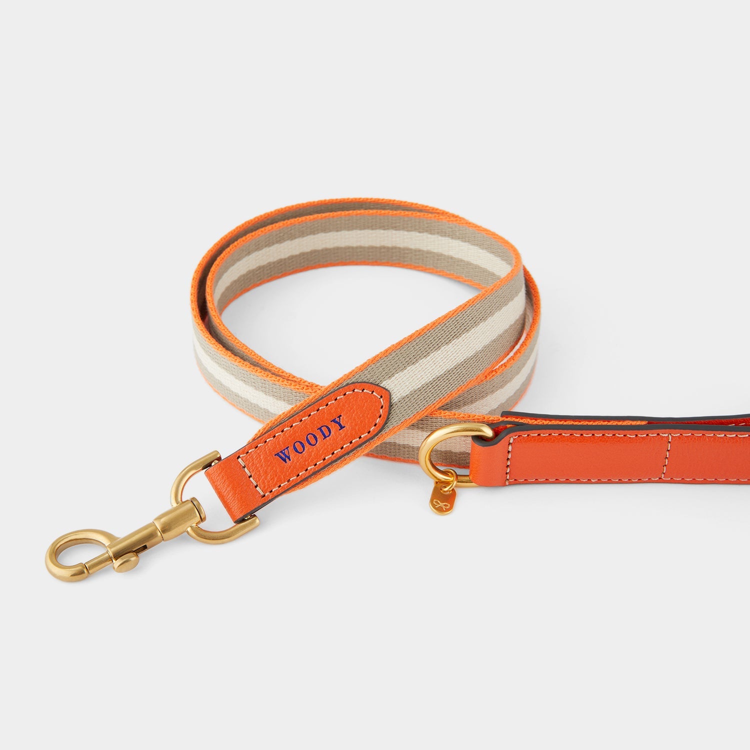 Dog Lead -

          
            Capra Leather in Clementine -
          

          Anya Hindmarch US
