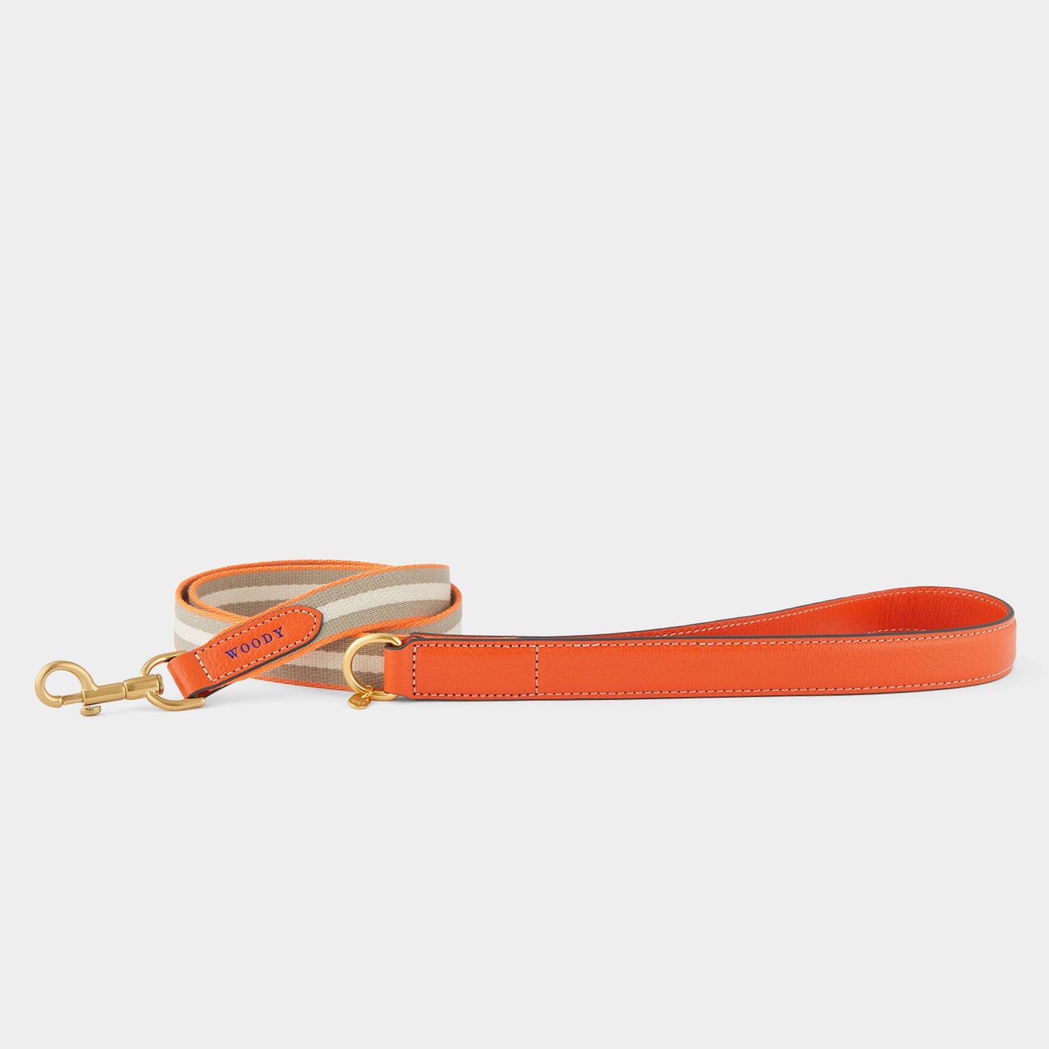 Dog Lead -

          
            Capra Leather in Clementine -
          

          Anya Hindmarch US
