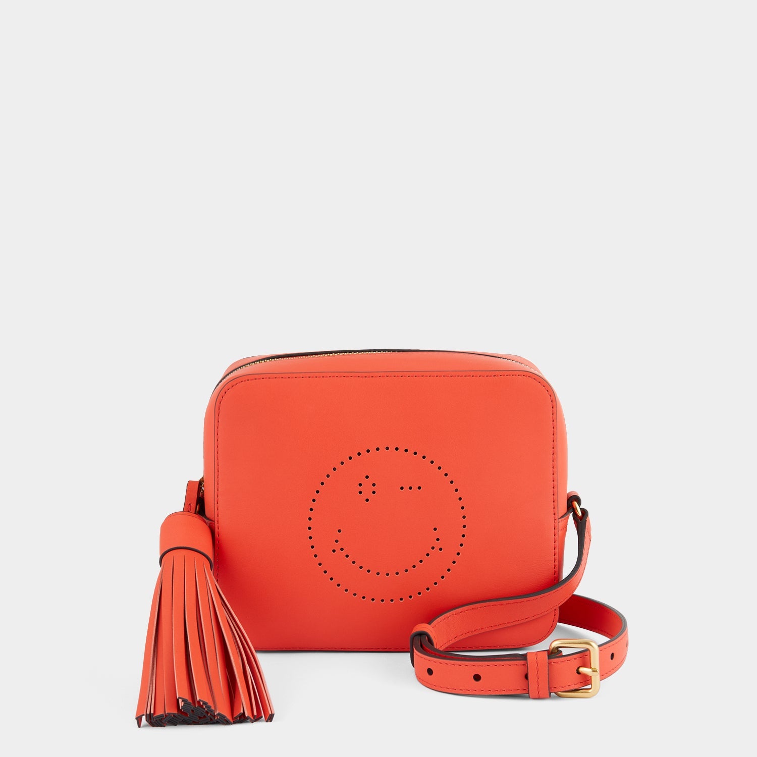Wink Cross-body -

                  
                    Calf Leather in Salmon -
                  

                  Anya Hindmarch US
