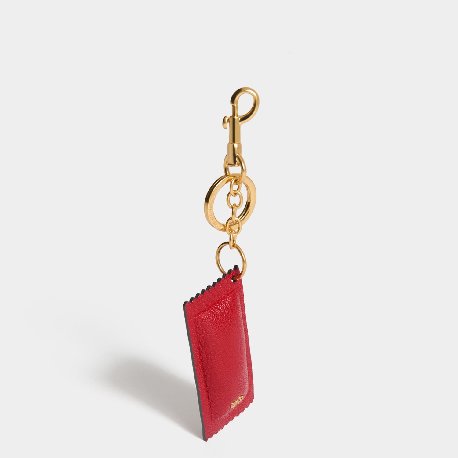 Anya Brands Heinz Ketchup Charm -

          
            Capra Leather in Red -
          

          Anya Hindmarch US
