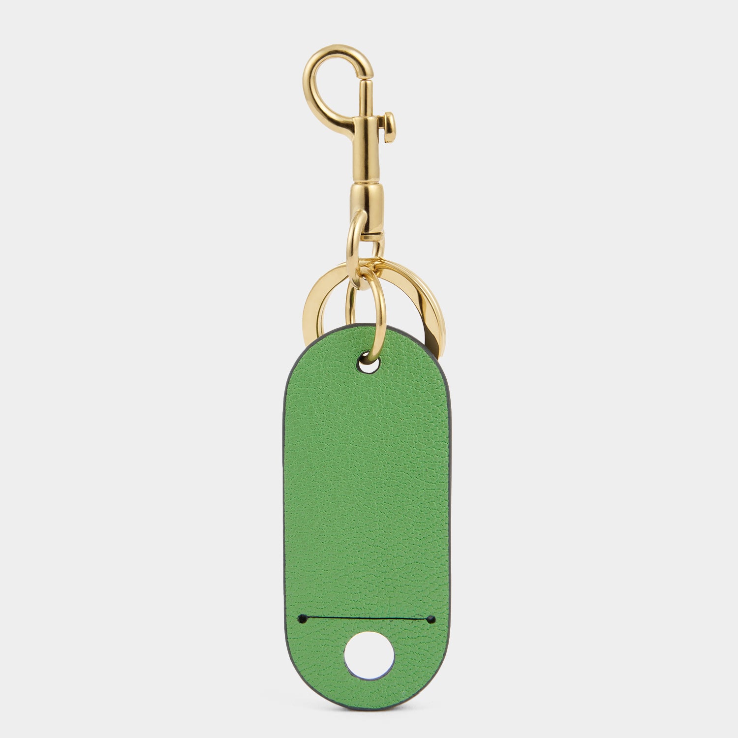 Luggage Tag -

          
            Capra Leather in Grass Green -
          

          Anya Hindmarch US
