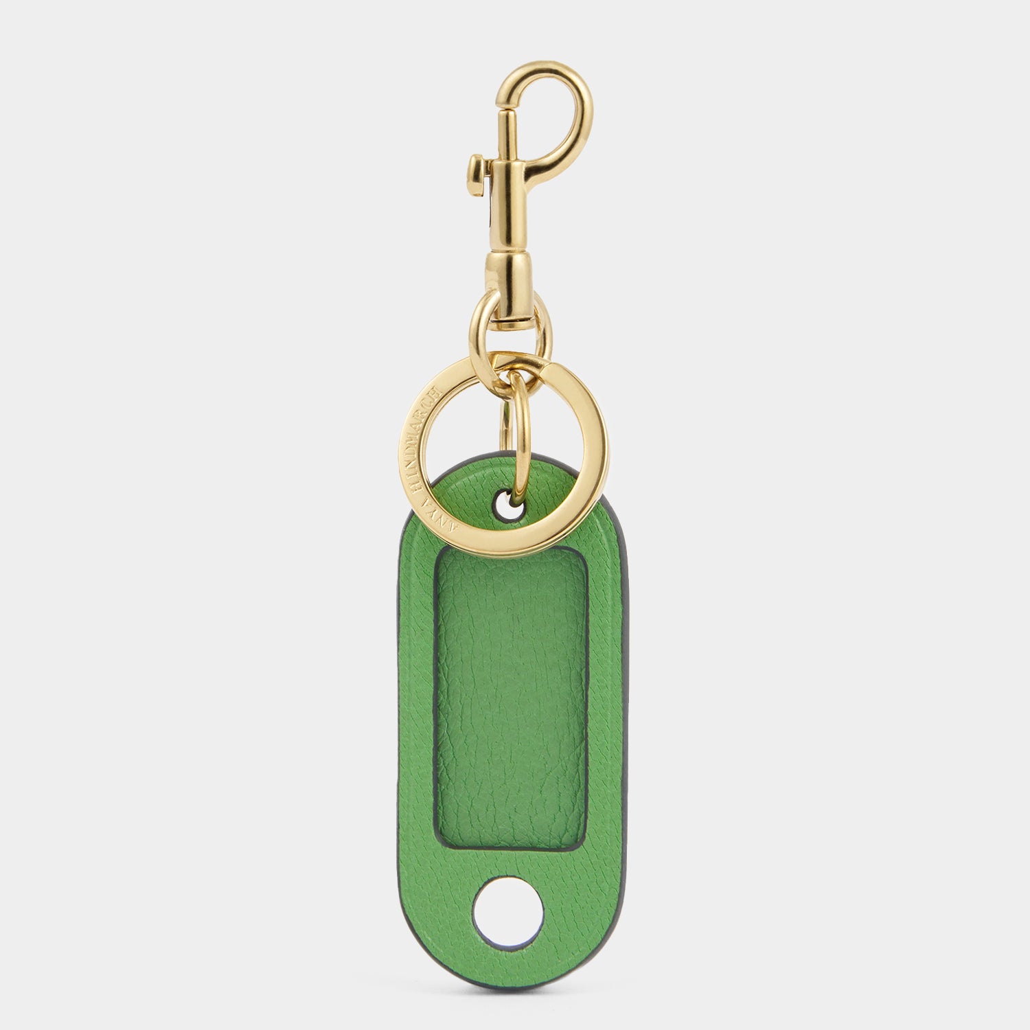 Luggage Tag -

          
            Capra Leather in Grass Green -
          

          Anya Hindmarch US
