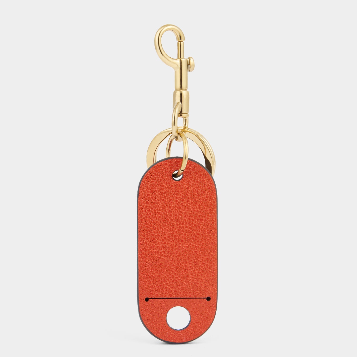 Luggage Tag -

          
            Capra Leather in Burnt Sienna -
          

          Anya Hindmarch US
