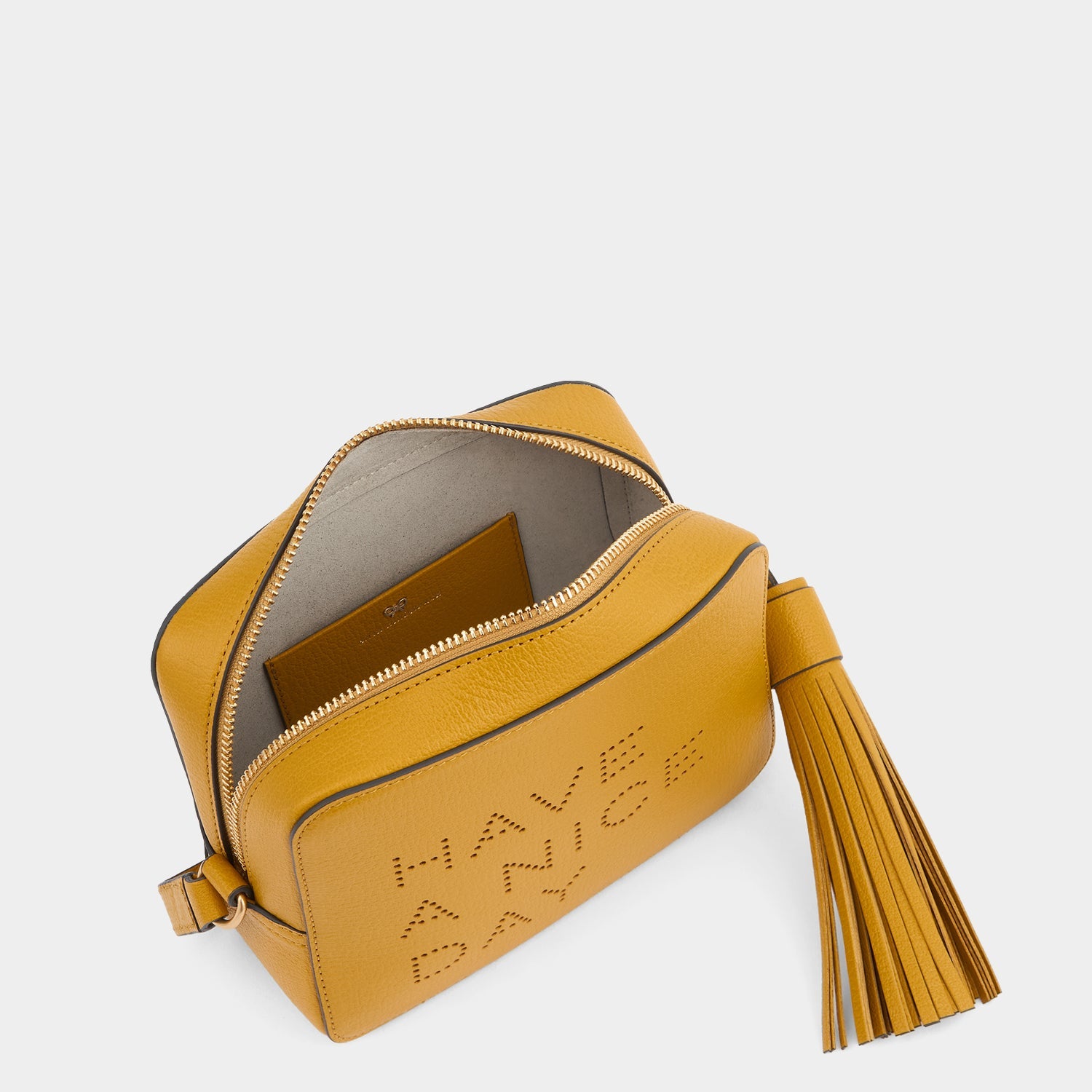 Have a Nice Day Cross-body -

          
            Capra Leather in Mustard -
          

          Anya Hindmarch US
