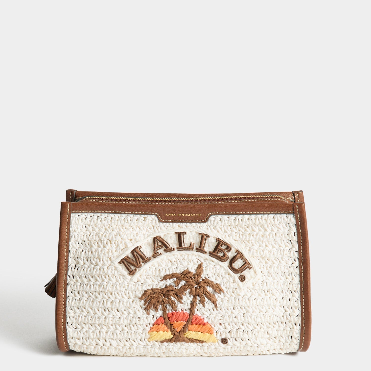 Anya Brands Malibu Pochette | Anya Hindmarch US