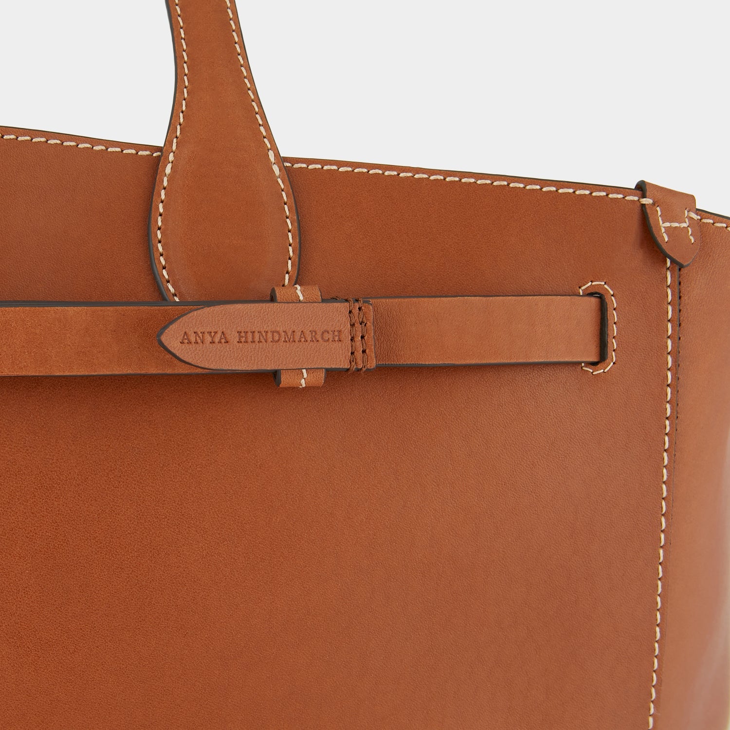 Anya Hindmarch Return to Nature Flap Leather Crossbody Bag