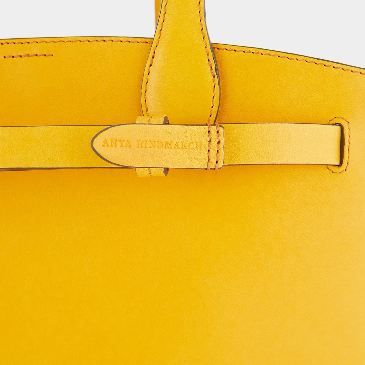 Return to Nature Tote Small -

                  
                    Compostable Leather in Honey -
                  

                  Anya Hindmarch US

