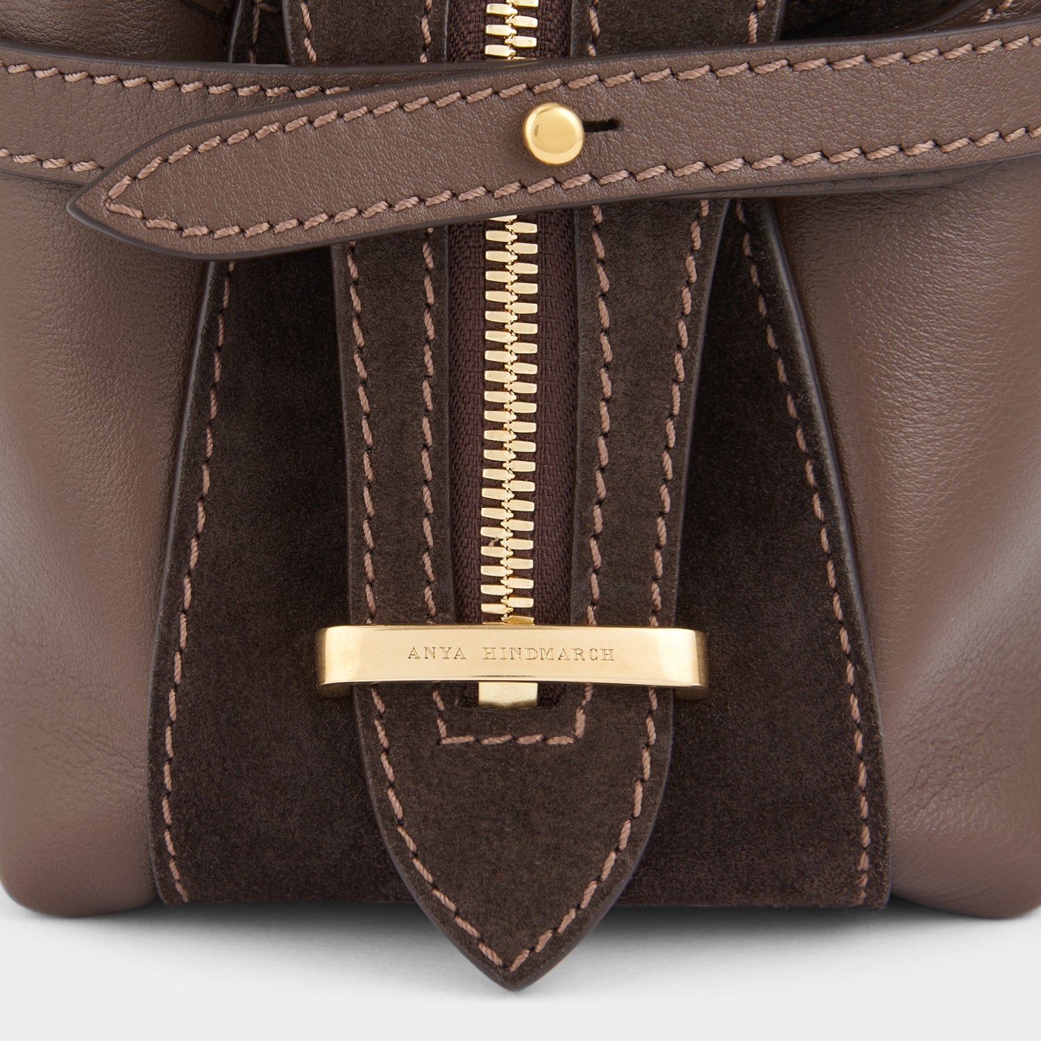 Anya Hindmarch Return to Nature Flap Leather Crossbody Bag