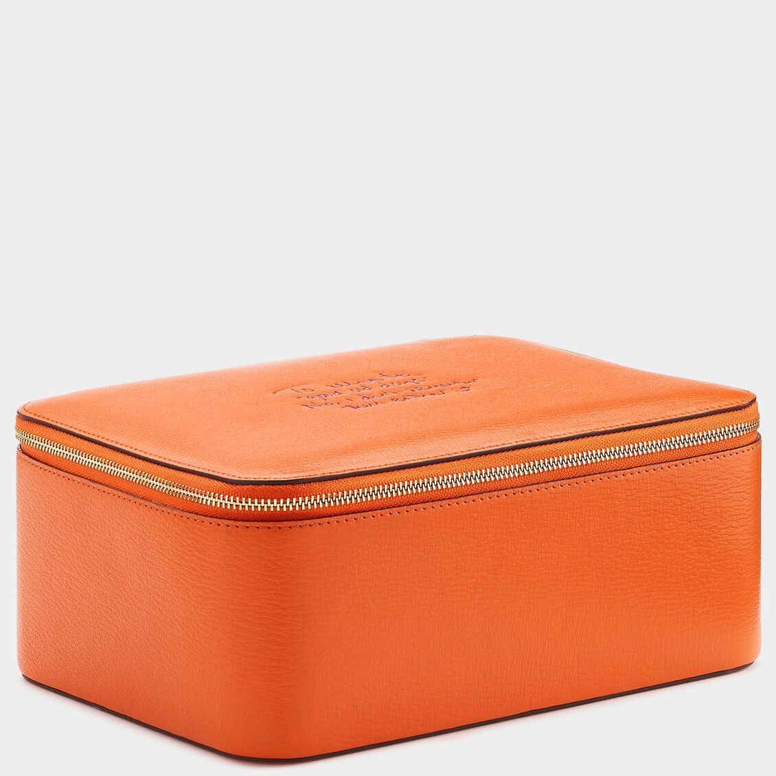 Childs Wow Box XL -

                  
                    Capra in Clementine -
                  

                  Anya Hindmarch US
